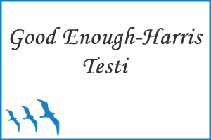 Good Enough - Harris (Bir Ä°nsan Ãiz) Testi